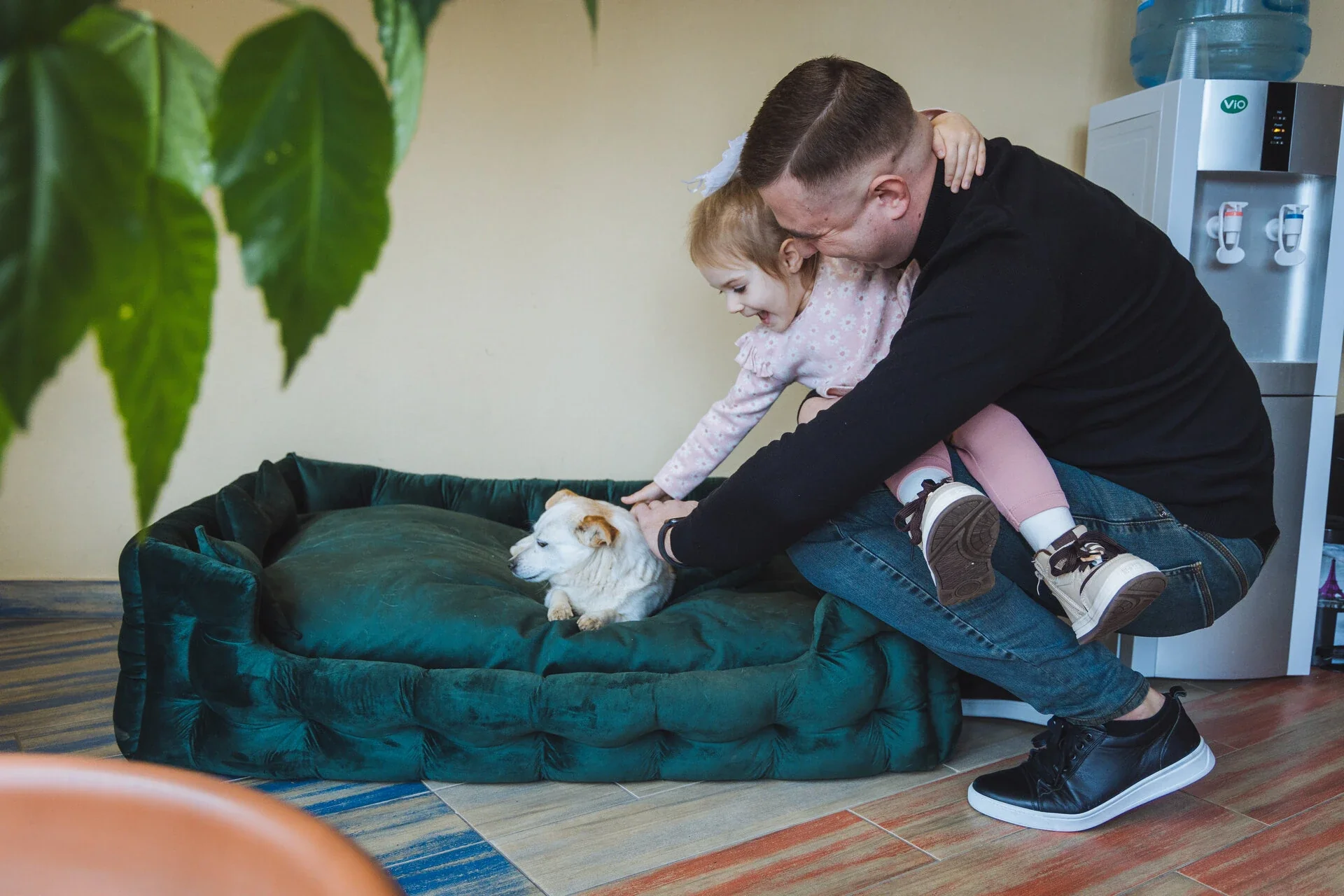 Відпочинок з домашніми тваринами в Ужгороді: Pet-Friendly готель для незабутньої подорожі