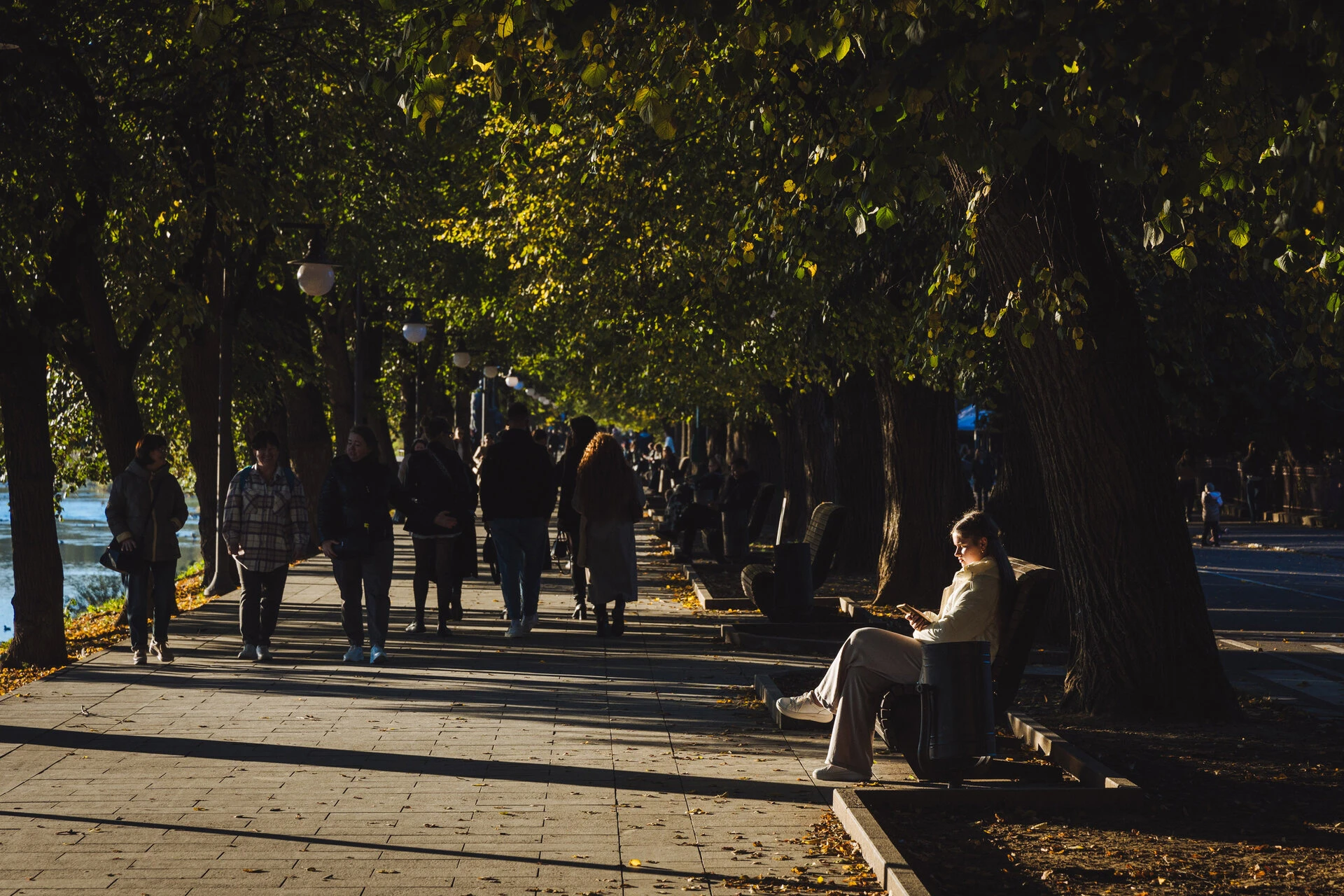 Липова алея в Ужгороді: найромантичніша локація міста